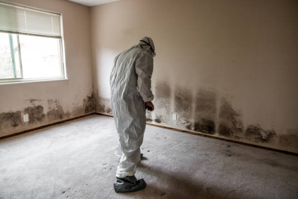 Best Commercial Mold Removal  in Watertown, FL